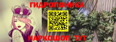 гашик Чебаркуль