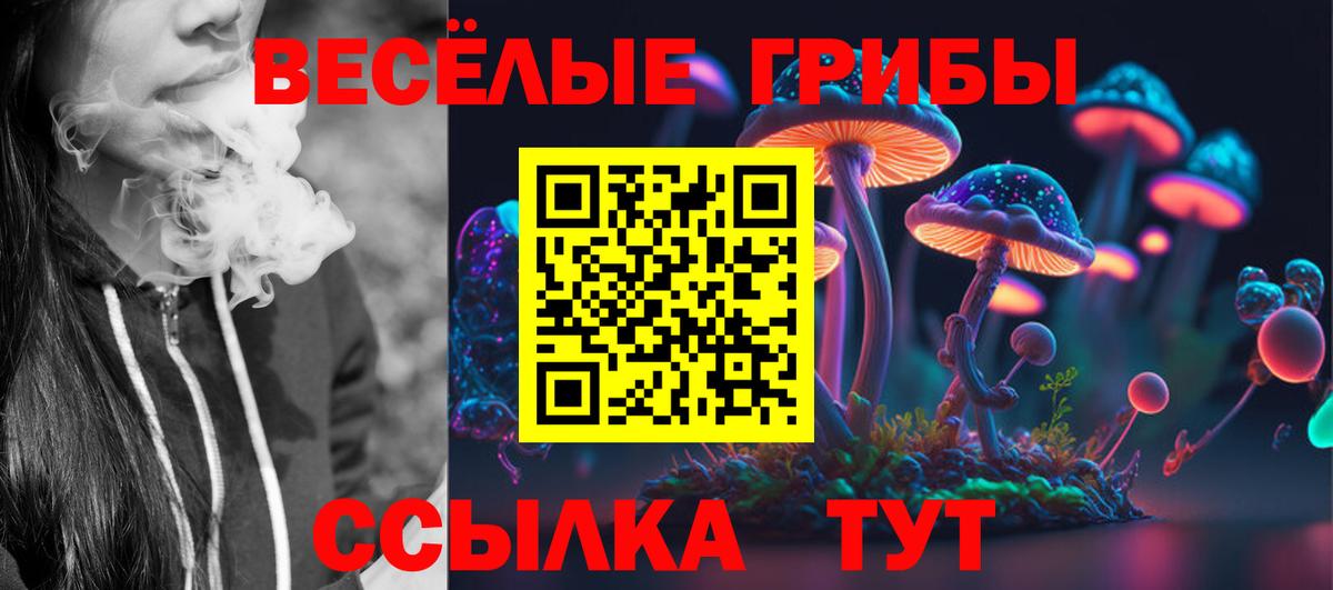 Псилоцибиновые грибы GOLDEN TEACHER  Вход с VPN  Каменск-Шахтинский 