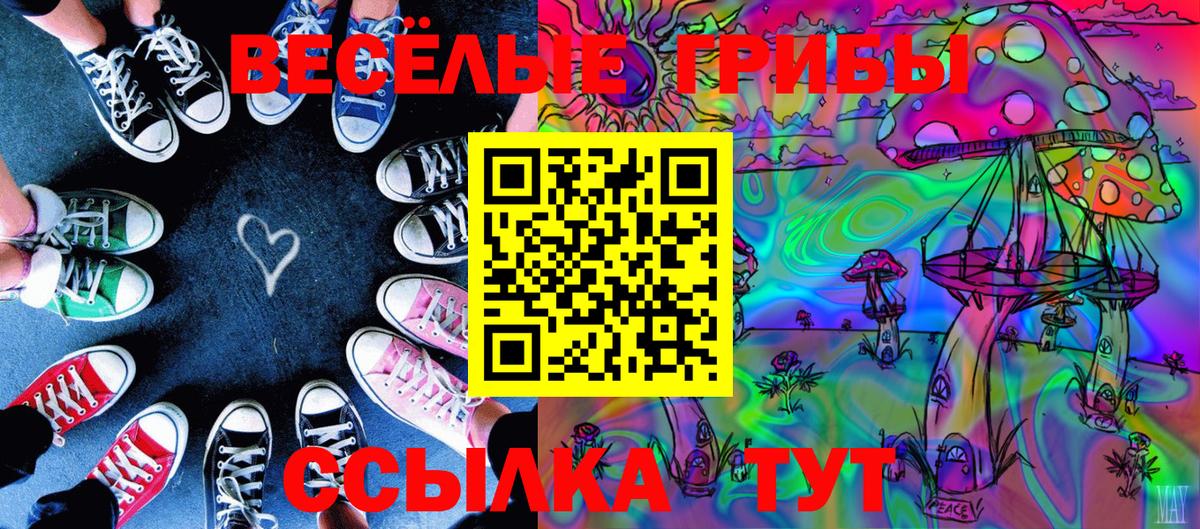 Псилоцибиновые грибы ЛСД Каменск-Шахтинский