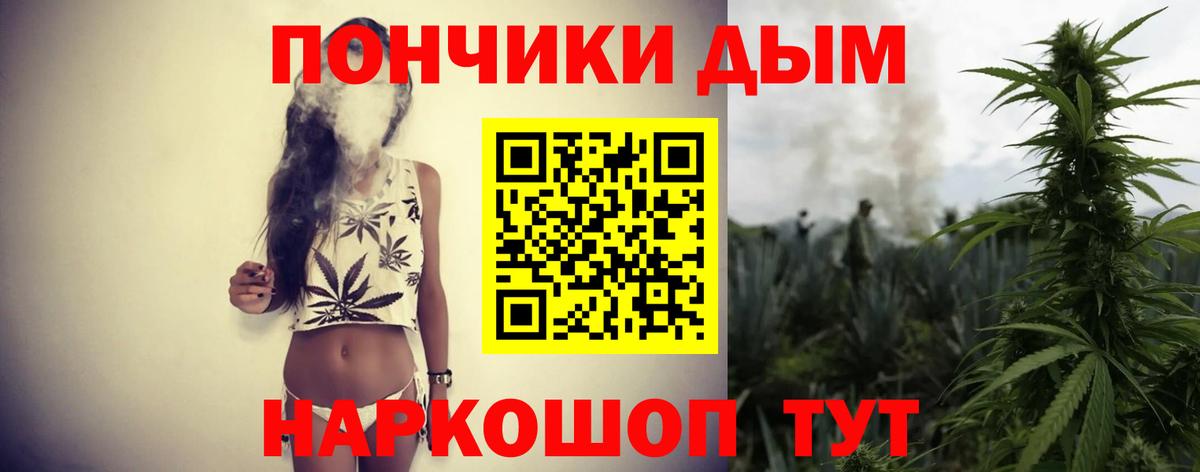 Шишки марихуана марихуана Каменск-Шахтинский